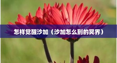怎样觉醒沙加（沙加怎么到的冥界）