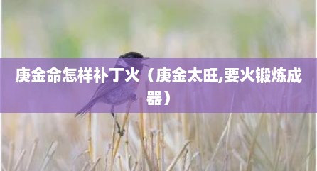 庚金命怎样补丁火（庚金太旺,要火锻炼成器）