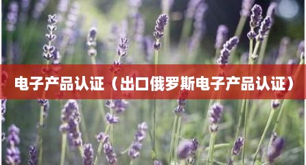 电子产品认证（出口俄罗斯电子产品认证）