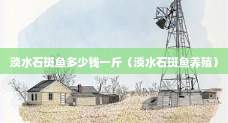 淡水石斑鱼多少钱一斤（淡水石斑鱼养殖）