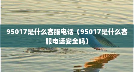 95017是什么客服电话（95017是什么客服电话安全吗）