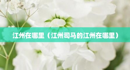 江州在哪里（江州司马的江州在哪里）