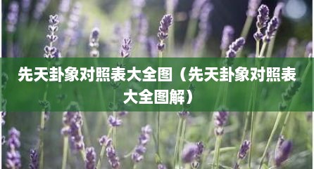 先天卦象对照表大全图（先天卦象对照表大全图解）
