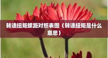 转速扭矩螺距对照表图（转速扭矩是什么意思）