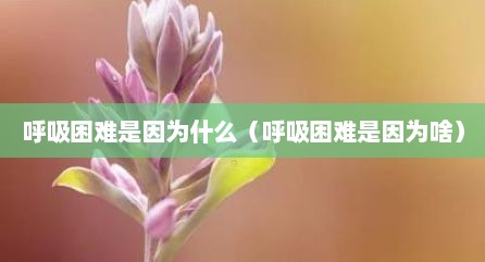 呼吸困难是因为什么（呼吸困难是因为啥）
