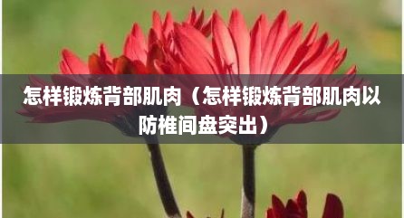 怎样锻炼背部肌肉（怎样锻炼背部肌肉以防椎间盘突出）