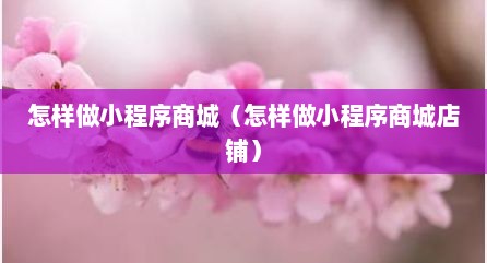 怎样做小程序商城（怎样做小程序商城店铺）