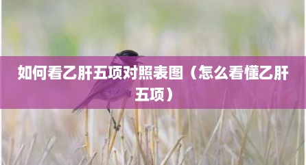 如何看乙肝五项对照表图（怎么看懂乙肝五项）