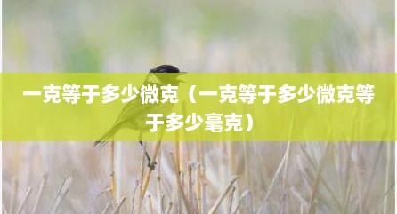 一克等于多少微克（一克等于多少微克等于多少毫克）