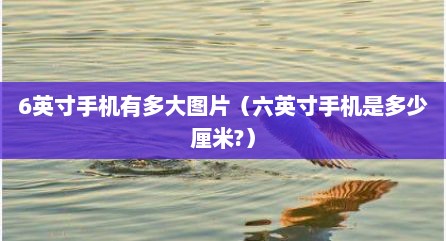 6英寸手机有多大图片（六英寸手机是多少厘米?）