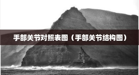 手部关节对照表图（手部关节结构图）