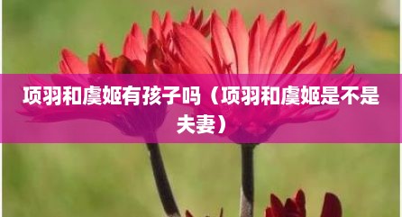 项羽和虞姬有孩子吗（项羽和虞姬是不是夫妻）