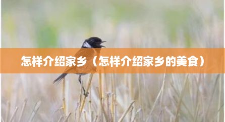 怎样介绍家乡（怎样介绍家乡的美食）