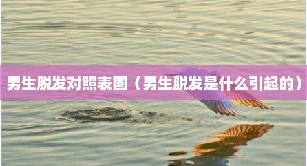 男生脱发对照表图（男生脱发是什么引起的）
