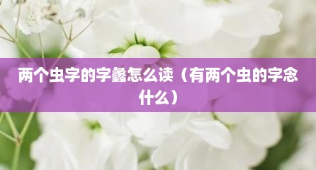 两个虫字的字蠡怎么读（有两个虫的字念什么）