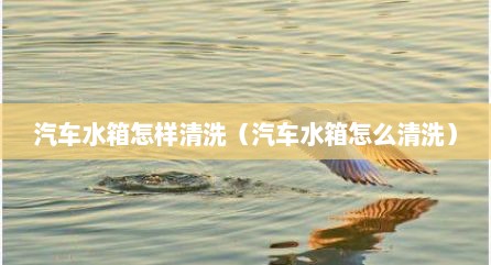 汽车水箱怎样清洗（汽车水箱怎么清洗）