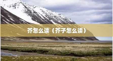 芥怎么读（芥子怎么读）