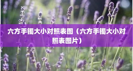 六方手镯大小对照表图（六方手镯大小对照表图片）