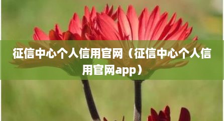征信中心个人信用官网（征信中心个人信用官网app）