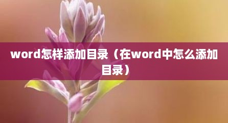 word怎样添加目录（在word中怎么添加目录）