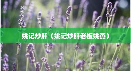 姚记炒肝（姚记炒肝老板姚燕）