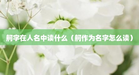 舸字在人名中读什么（舸作为名字怎么读）