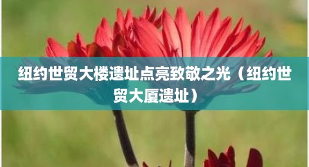 纽约世贸大楼遗址点亮致敬之光（纽约世贸大厦遗址）