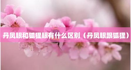 丹凤眼和狐狸眼有什么区别（丹凤眼跟狐狸）