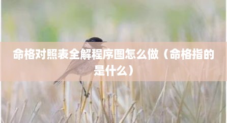 命格对照表全解程序图怎么做（命格指的是什么）