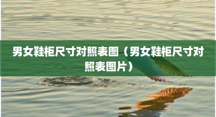 男女鞋柜尺寸对照表图（男女鞋柜尺寸对照表图片）