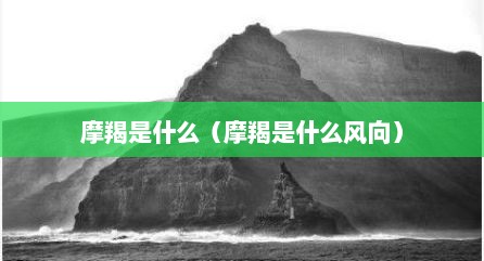 摩羯是什么（摩羯是什么风向）