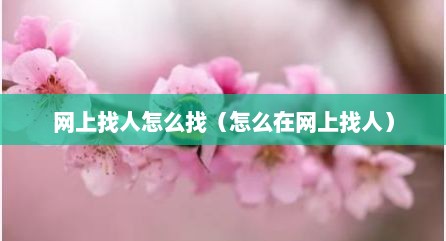 网上找人怎么找（怎么在网上找人）
