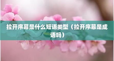拉开序幕是什么短语类型（拉开序幕是成语吗）
