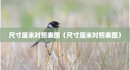 尺寸厘米对照表图（尺寸厘米对照表图）