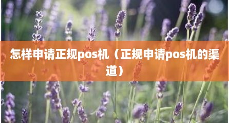 怎样申请正规pos机（正规申请pos机的渠道）