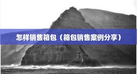 怎样销售箱包（箱包销售案例分享）