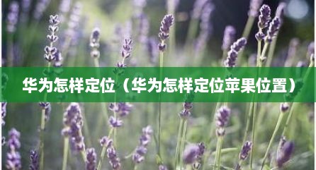 华为怎样定位（华为怎样定位苹果位置）