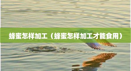蜂蜜怎样加工（蜂蜜怎样加工才能食用）