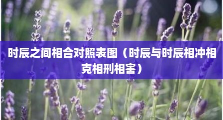 时辰之间相合对照表图（时辰与时辰相冲相克相刑相害）