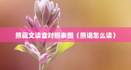 熊藏文读音对照表图（熊语怎么读）