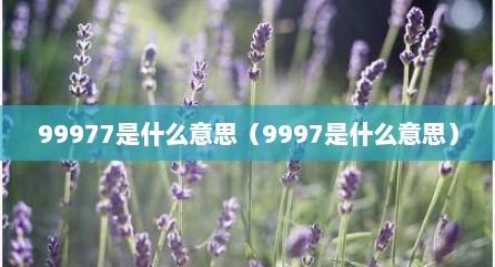 99977是什么意思（9997是什么意思）