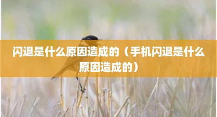 闪退是什么原因造成的（手机闪退是什么原因造成的）