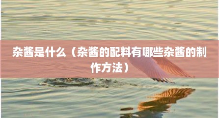 杂酱是什么（杂酱的配料有哪些杂酱的制作方法）