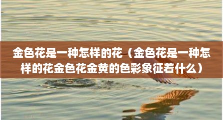 金色花是一种怎样的花（金色花是一种怎样的花金色花金黄的色彩象征着什么）