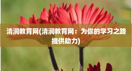 清涧教育网(清涧教育网：为你的学习之路提供助力)
