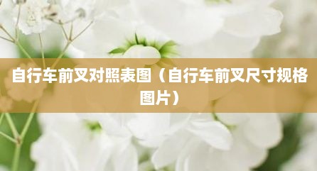 自行车前叉对照表图（自行车前叉尺寸规格图片）
