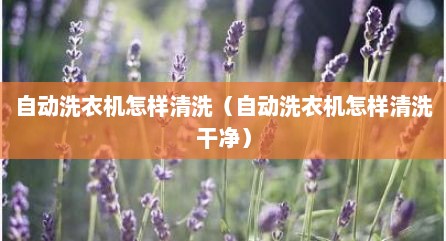 自动洗衣机怎样清洗（自动洗衣机怎样清洗干净）