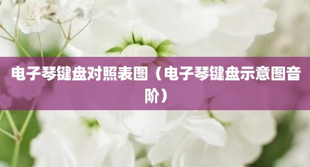 电子琴键盘对照表图（电子琴键盘示意图音阶）