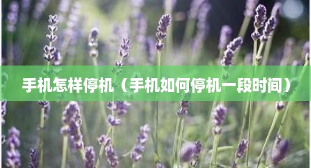 手机怎样停机（手机如何停机一段时间）