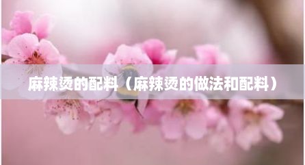 麻辣烫的配料（麻辣烫的做法和配料）